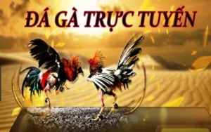 Bí Quyết Thắng Lớn Với Đá Gà 3D Tại WINVN Hấp Dẫn Nhất