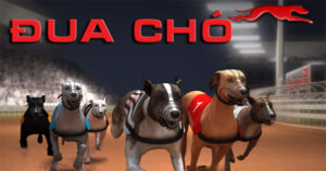 Mẹo Thắng Đua Chó Tại WINVN Dễ Dàng Chỉ Trong 3 Phút